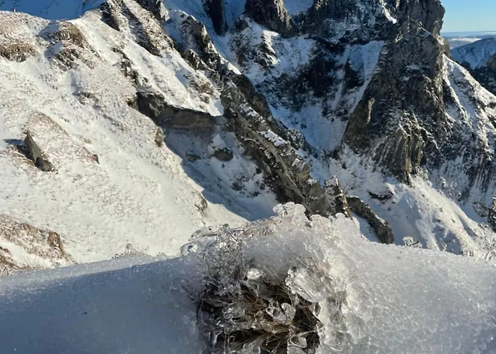 Chalet L'echappee Belle Murat-le-Quaire